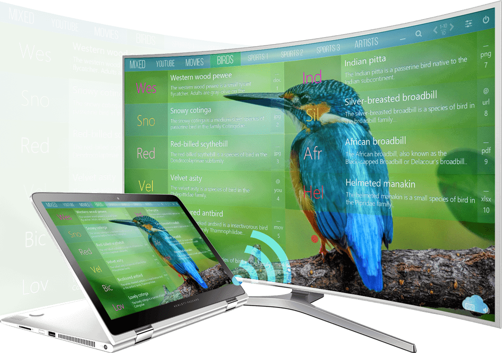 mediaboard curved tv bird trimmed - Über den Entwickler - André Gansel, IT Professional